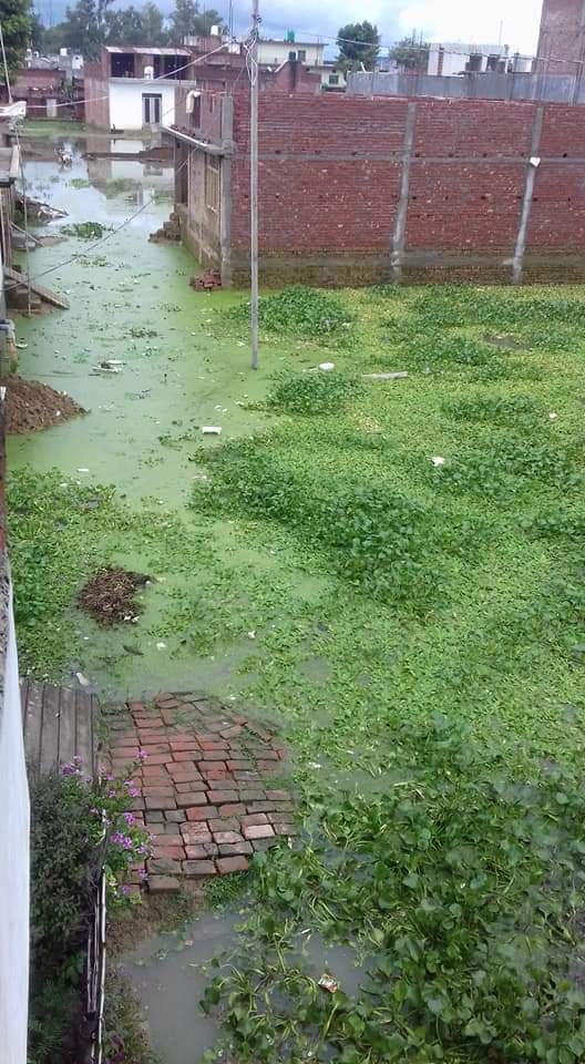 वर्षों से विकास कार्य से वंचित है पिपरिया का किशोर नगर मोहल्ला, ग्राम प्रधान से लेकर उच्च अधिकारियों तक से ग्रामवासी कर चुके हैं सड़क निर्माण की मांग, सभी कर रहे हैं नज़रअंदाज़ | New India Times