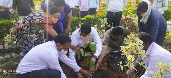 मुख्यमंत्री श्री शिवराज सिंह चौहान के जन्म दिवस पर कलेक्टर श्री रोहित सिंह द्वारा किया गया पौध रोपण | New India Times
