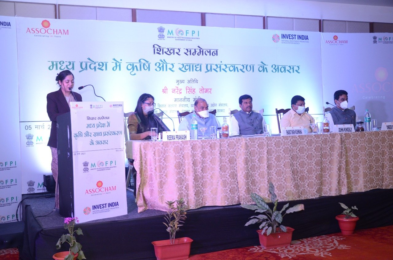ग्वालियर-चंबल संभाग में खाद्य प्रसंस्करण की अपार संभावनाएं हैं, छोटे किसानों को सशक्त करके ही कृषि में लाई जा सकेगी आत्मनिर्भरता: केंद्रीय मंत्री नरेंद्र सिंह तोमर | New India Times