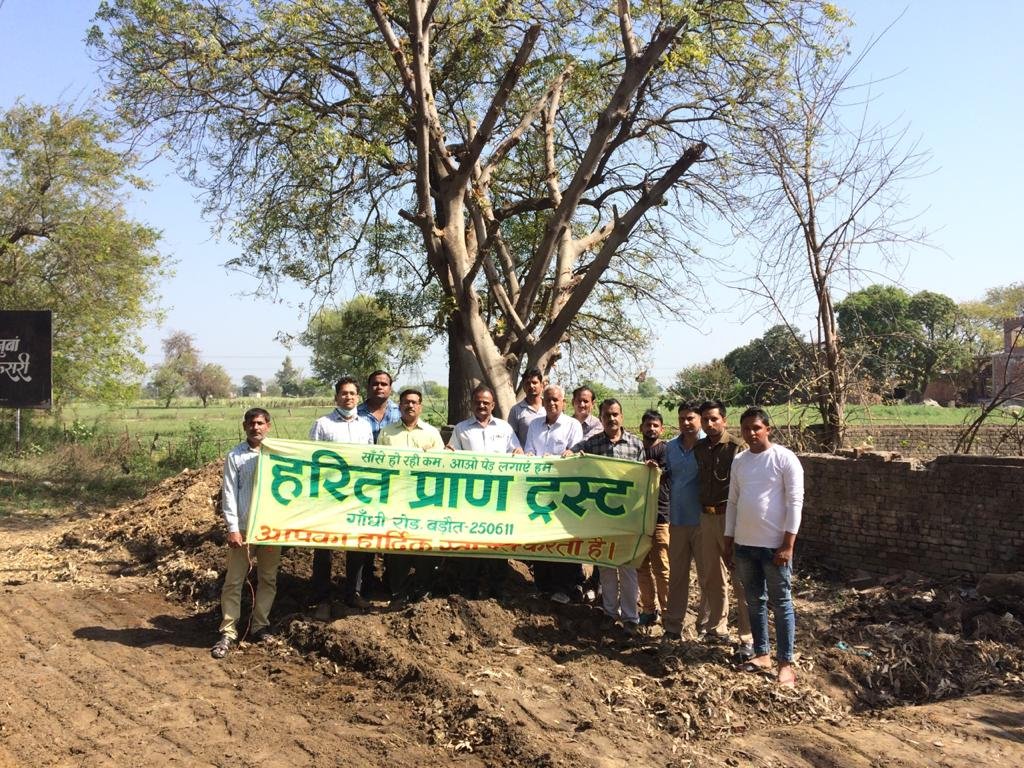 हरित प्राण ट्रस्ट से प्रेरणा लेकर विश्वभर में बचाये जा सकते हैं करोड़ों पेड़, सरकार और एनजीओ मिलकर रोक सकते हैं विकास के नाम पर काटे जाने वाले करोड़ों पेड़ों का कटान, जेसीबी जैसे बड़े संयंत्रों के द्वारा एक स्थान से हटाकर दूसरे स्थान पर रोपे जा सकते हैं विशालकाय पेड़ | New India Times
