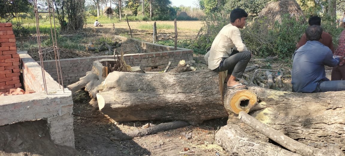 हरे बागों का कटान जारी, नोटों की गड्डियों की चमक के चलते आंखें मूंदे हुए हैं जिम्मेदार | New India Times