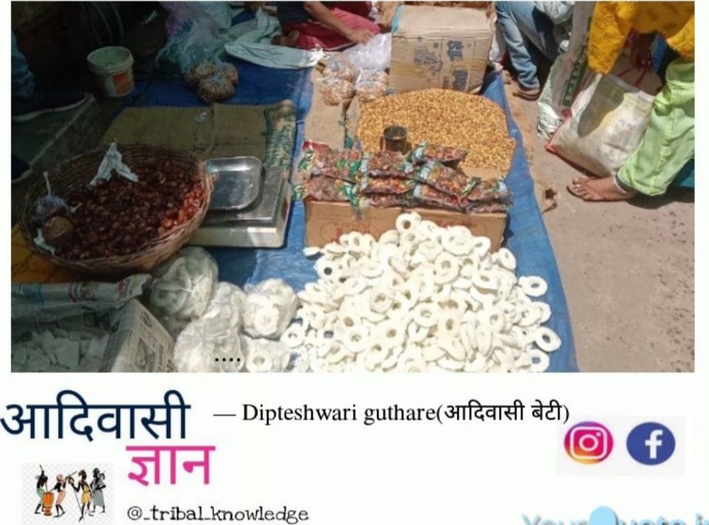 आदिवासी समुदाय और होली का पर्व | New India Times