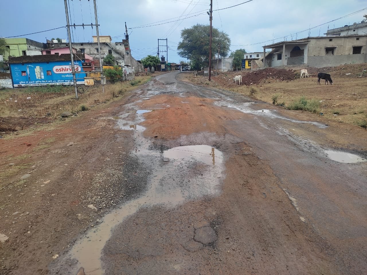 बीच सड़क पर बने गड्ढे लगातार दे रहे हैं दुर्घटना को दावत | New India Times