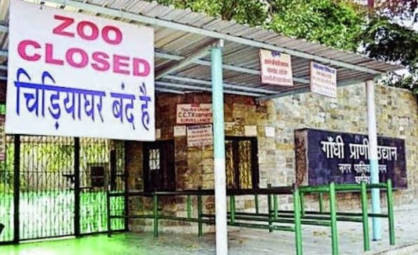 ग्वालियर के चिड़ियाघर में अब कोरोना संक्रमण को लेकर विशेष सतर्कता, हैदराबाद के चिड़ियाघर मे शेर आ चुके हैं कोरोना संक्रमण की चपेट में | New India Times