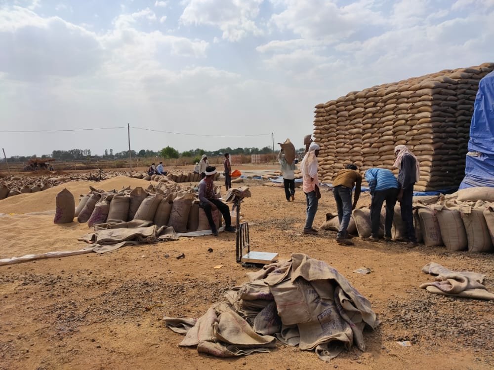 सरकार और प्रशासन महिलाओं को रोजगार देने के नाम पर कर रही दिखावा, महिला समूहों को दिए खरीदी केंद्रों को चलाते दिख रहे हैं दलाल व नेता, किसानों से कर रहे हैं भारी लुटाई: हर्ष यादव | New India Times