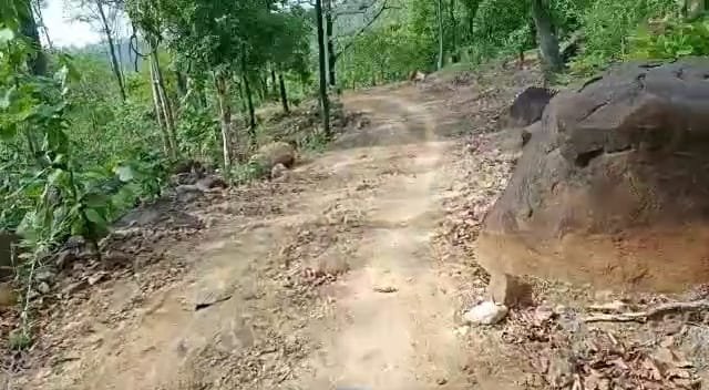 जिम्मेदारों की लापरवाही से आजादी के बाद से अब तक नहीं हुआ रोड निर्माण कार्य, स्वयं की राशि से ही आवागमन के लिए किया गया कच्चे रास्ते का निर्माण | New India Times