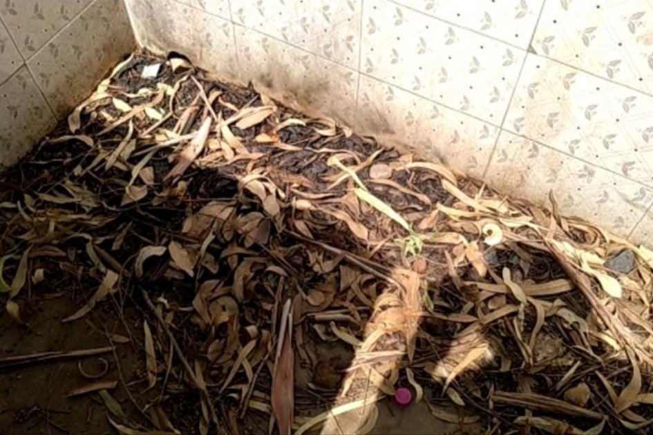 सुलभ शौचालय में प्रशासन की अनदेखी से लगा गंदगी का अंबार, गंदगी से बीमारी का ग्रामीणों में भय | New India Times