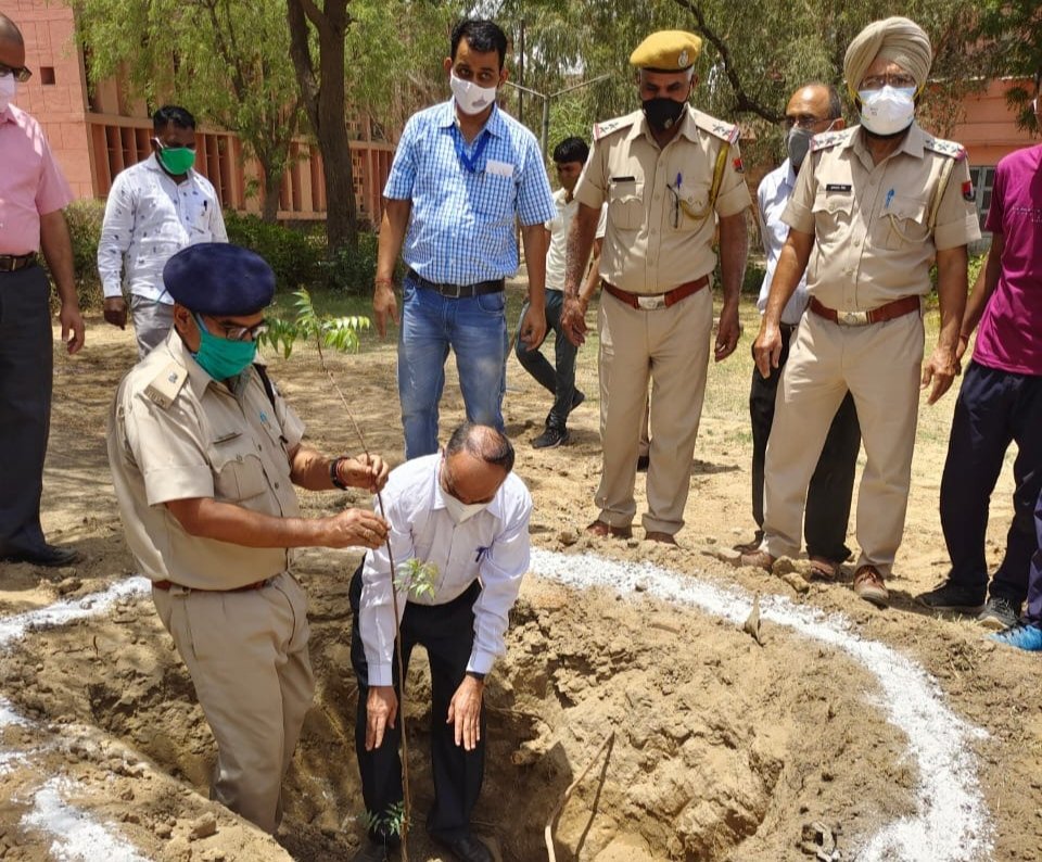 राजस्थान पुलिस विभाग और ग्रीन संकल्प ने किया वृक्षारोपण | New India Times