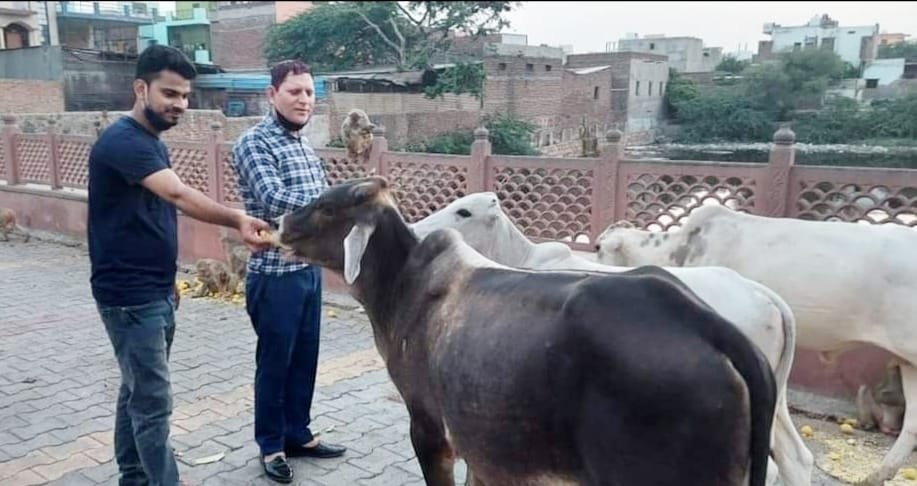ब्रज यातायात एवं पर्यावरण जन जागरूकता समिति ने दोबारा चलाया भूखे जानवरों के लिए खाना खिलाने का अभियान | New India Times