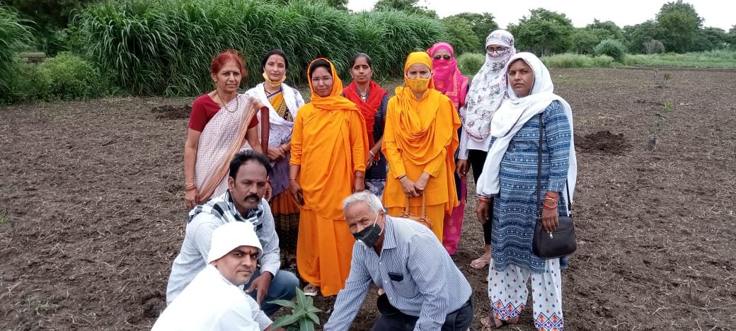 साधकों ने किया पौधारोपण अभियान का शुभारंभ | New India Times