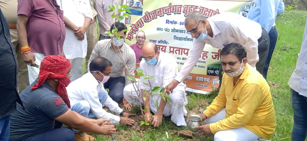 वृक्षारोपण अभियान के तहत जिला में लगाए जाएंगे 28 लाख पौधे | New India Times