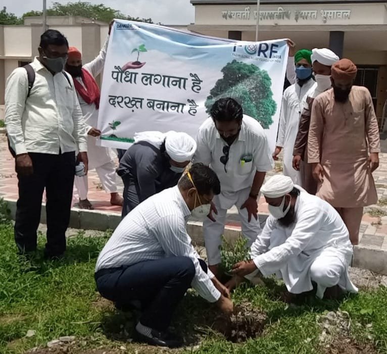 दावते इस्लामी हिंद ने भुसावल शहर में किया पौधारोपण | New India Times