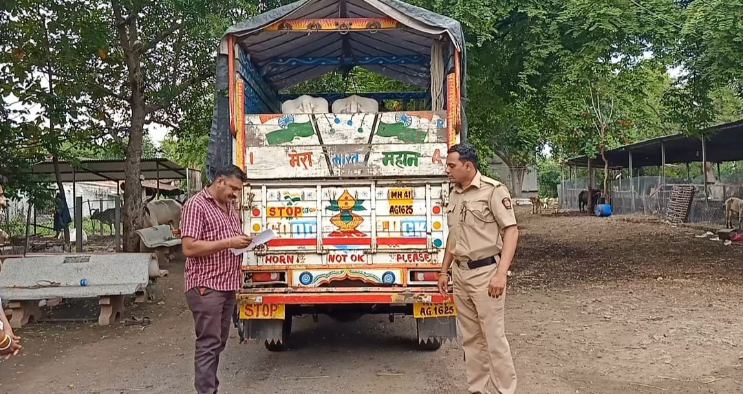 आजाद नगर पुलिस ने तस्करी के दो गोवंश किये जब्त | New India Times