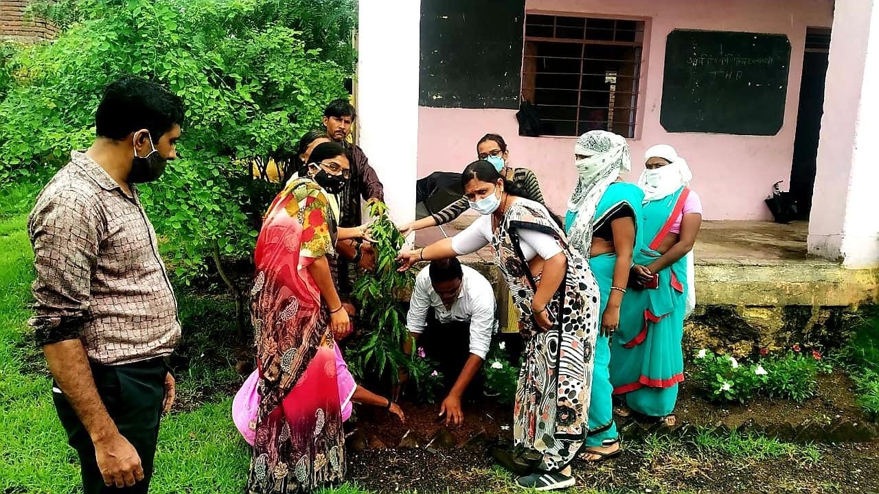 लोनवाड़ी के जिला परिषद विद्यालय में किया गया वृक्षारोपण  | New India Times