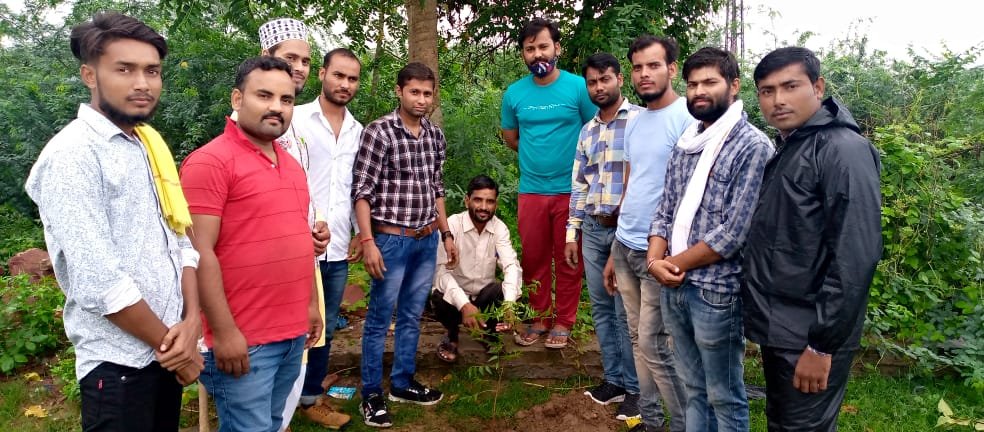 स्वाभिमान सेवा ट्रस्ट ने वृक्षारोपण कर दिया पर्यावरण संरक्षण का संदेश | New India Times