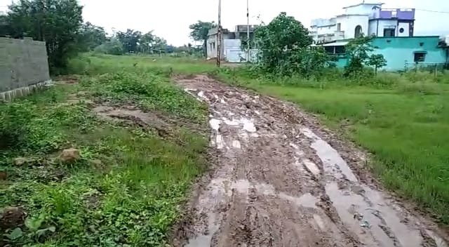 विकास के नाम पर कीचड़ और दलदल: कीचड़ और दलदल से आवागमन करने को मजबूर हैं वार्ड वासी, जिम्मेदारों को अवगत कराने के बाद भी नहीं दिया गया ध्यान | New India Times