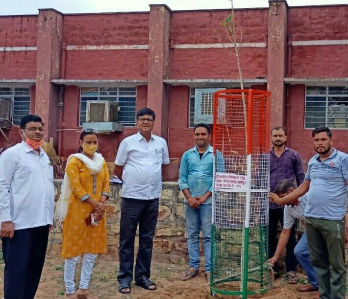 डीएम ने वृक्षारोपण कर मनाया जन्माष्टमी का पावन पर्व. प्राणवायु ऑक्सीजन हेतु वृक्षारोपण करना बहुत जरूरी: डीएम | New India Times