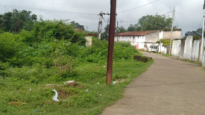 लोगों की जिंदगी से खिलवाड़ कर रही है नगर पालिका, मच्छरों के प्रभाव एवं गंदगी से वार्ड वासी परेशान | New India Times