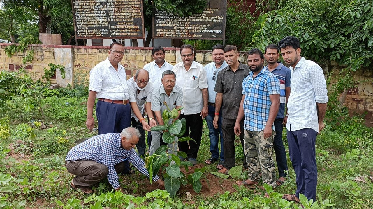 सुखद भविष्य के लिए पौधारोपण कर पृथ्वी का श्रृंगार करें: अशोक शर्मा. चकोली शैक्षणिक एवं सामाजिक विकास समिति ने आयोग परिसर में कि पौधारोपण | New India Times