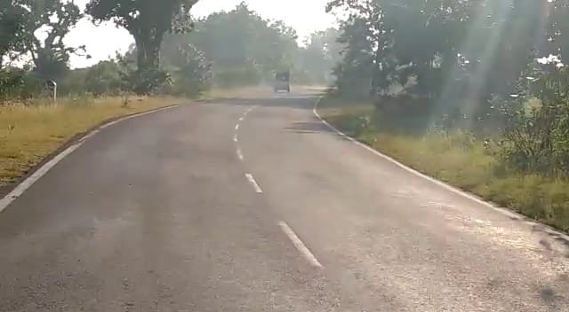 वर्षों से स्ट्रीट लाइट की मांग पर जिम्मेदार कब देंगे ध्यान, कुछ दिन पहले ही इसी जगह पर हुआ था गोली कांड | New India Times