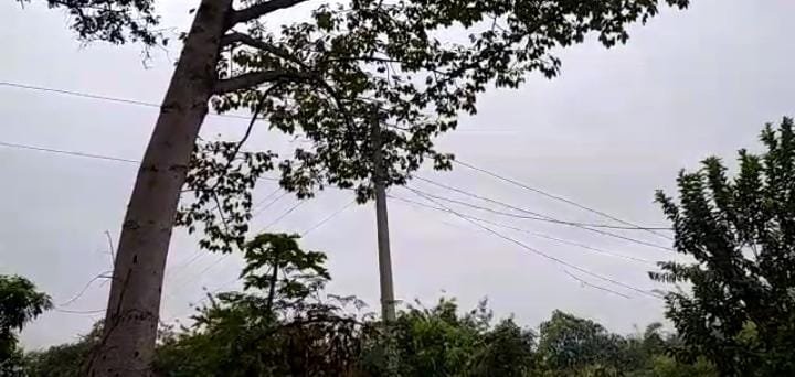 स्ट्रीट लाइट सुविधा से वंचित हैं ग्रामीण | New India Times