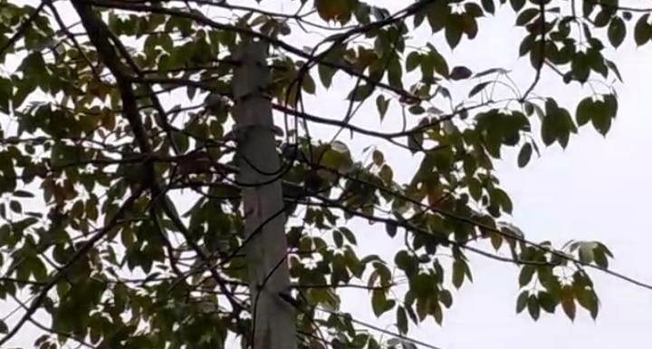 स्ट्रीट लाइट सुविधा से वंचित हैं ग्रामीण | New India Times