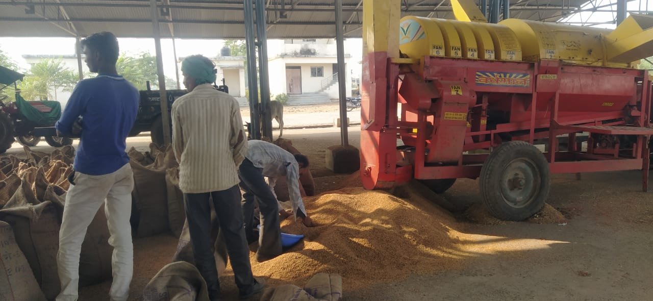 उपार्जन केन्द्रों पर किसानों से लूट, धान सफाई के नाम पर पैसे की मांग, पूर्व मंत्री हर्ष यादव का आरोप, सरकार के संरक्षण में किसानों का हो रहा है शोषण | New India Times