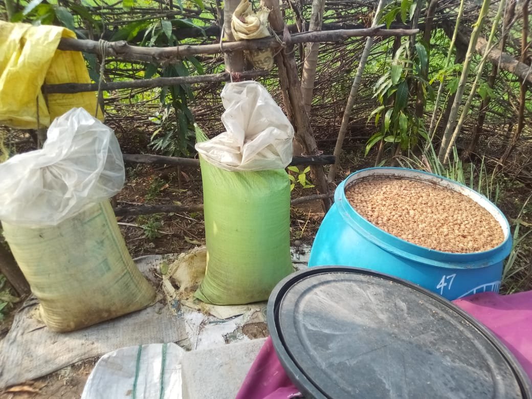 आबकारी विभाग की शराब माफियाओं पर कार्यवाही | New India Times