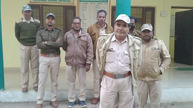 वन विभाग की कार्रवाई अवैध लकड़ी बरामद, कार्रवाई से मचा हड़कंप | New India Times