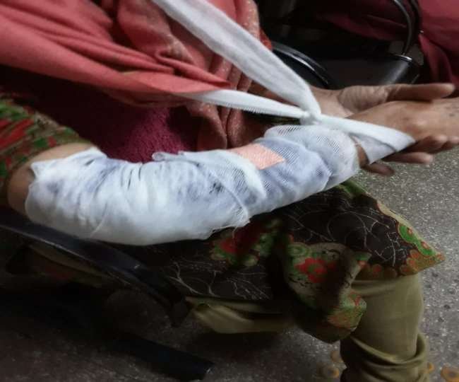 जायदाद हड़पने के लिए हैवान बना पोता, बूढ़ी दादी को बेरहमी से कुत्ते से कटवाया, महिला आयोग ने दर्ज करवाई एफआईआर 2 जायदाद हड़पने के लिए हैवान बना पोता, बूढ़ी दादी को बेरहमी से कुत्ते से कटवाया, महिला आयोग ने दर्ज करवाई एफआईआर | New India Times