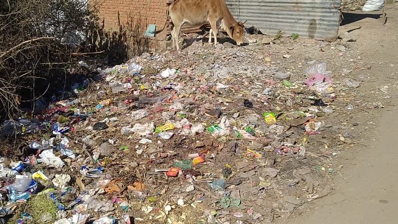 सफाई के दौर में कचरे का अंबार, मानो ग्राम पंचायत में स्वच्छता अभियान आया ही ना हो... | New India Times