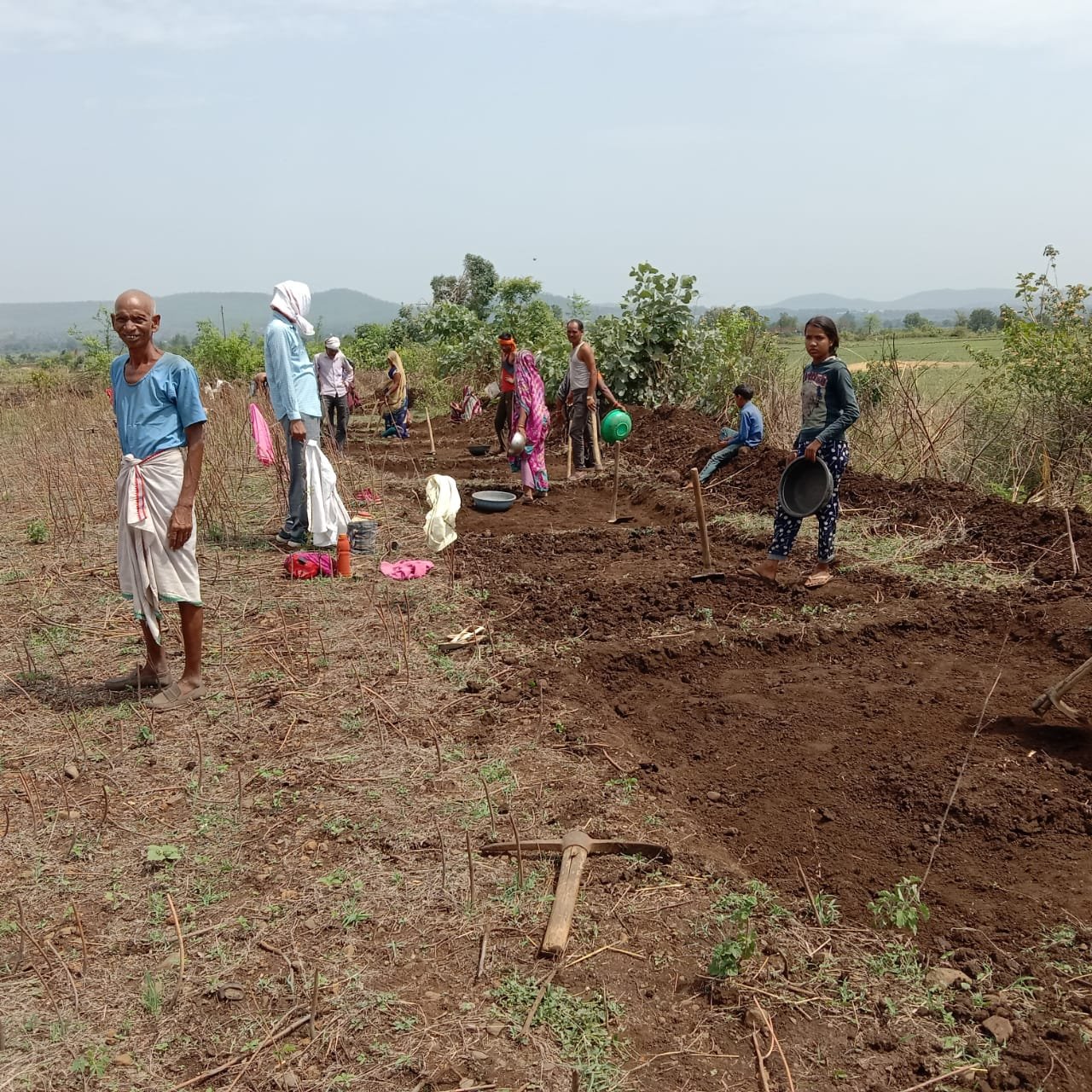 जनपद सीईओ के प्रयास से वन अधिकार पट्टे धारियों की बंजर भूमि को उपजाऊ बनाकर बदली किस्मत, दिलाया रोजगार, करीब 200 आदिवासी किसानों को 450 एकड़ भूमि से मिल रहा है रोजगार | New India Times