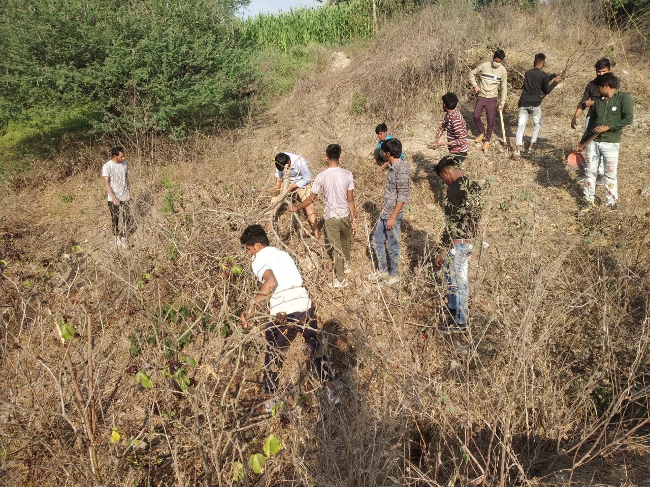राष्ट्रीय सेवा योजना के स्वयंसेवक ने किया श्रमदान | New India Times