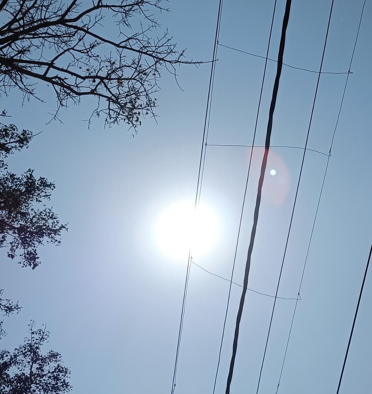 गर्मी की तपिश हुई तेज | New India Times