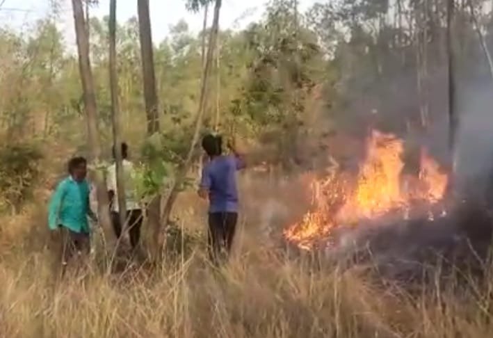 नर्सरी के पास लगी आग, आसपास के रहवासियों में मचा हड़कंप | New India Times