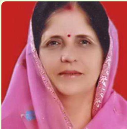 तिरला विकासखण्ड को मिली महाविद्यालय की सौगात | New India Times