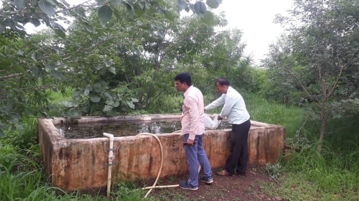 मत्स्य उत्पादन से स्वरोजगार की ओर बढ़ते कदम: जिला मलेरिया कार्यालय के द्वारा लार्वाभक्षी मछली गम्बूसिया का संचय, झाबुआ जिले में पूर्व से निर्मित तालाबो एवं अमृत सरोवर तालाबों में मत्स्य बीज डाले गए 2 मत्स्य उत्पादन से स्वरोजगार की ओर बढ़ते कदम: जिला मलेरिया कार्यालय के द्वारा लार्वाभक्षी मछली गम्बूसिया का संचय, झाबुआ जिले में पूर्व से निर्मित तालाबो एवं अमृत सरोवर तालाबों में मत्स्य बीज डाले गए | New India Times