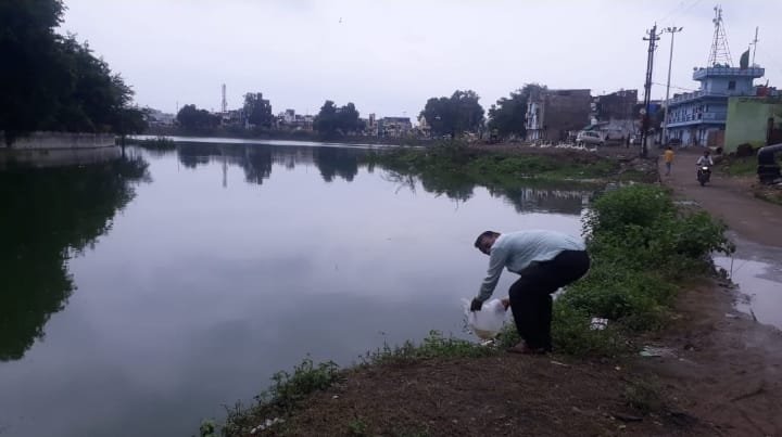 मत्स्य उत्पादन से स्वरोजगार की ओर बढ़ते कदम: जिला मलेरिया कार्यालय के द्वारा लार्वाभक्षी मछली गम्बूसिया का संचय, झाबुआ जिले में पूर्व से निर्मित तालाबो एवं अमृत सरोवर तालाबों में मत्स्य बीज डाले गए 3 मत्स्य उत्पादन से स्वरोजगार की ओर बढ़ते कदम: जिला मलेरिया कार्यालय के द्वारा लार्वाभक्षी मछली गम्बूसिया का संचय, झाबुआ जिले में पूर्व से निर्मित तालाबो एवं अमृत सरोवर तालाबों में मत्स्य बीज डाले गए | New India Times