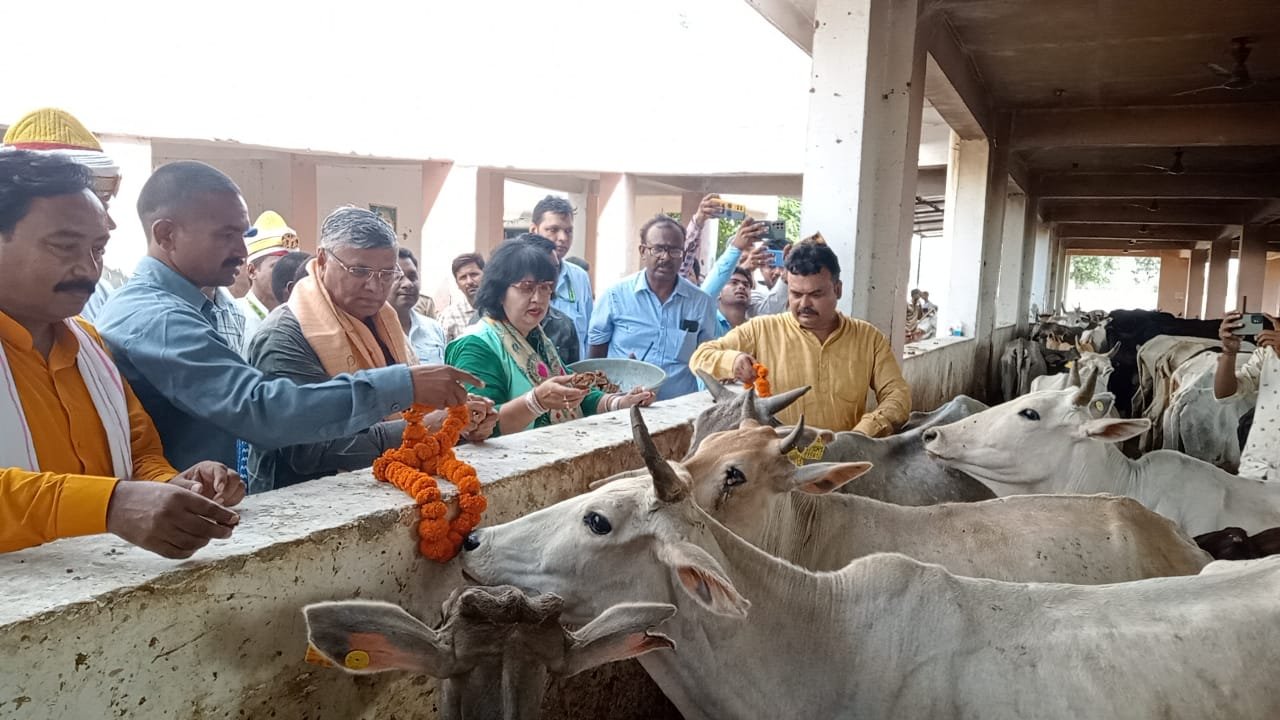 मंत्रियों ने गौशाला निरीक्षण के दौरान गौवंशियों को खिलाई गुड़ व मिठाई | New India Times