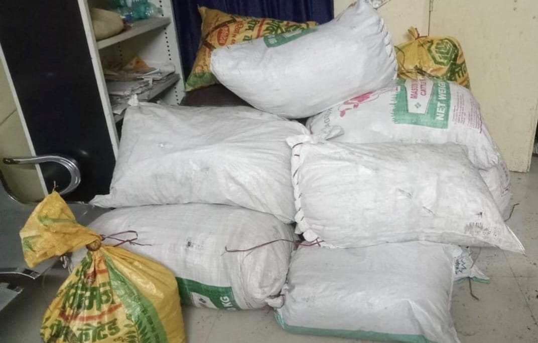 ग्वालियर पुलिस ने 8 गांजा तस्करों को ट्रक व स्कॉर्पियो के साथ किया गिरफ्तार, 540 किलोग्राम गांजा बरामद | New India Times