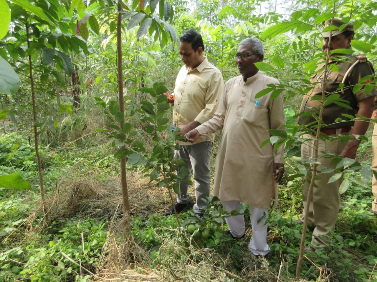 जिलाधिकारी ने की चंद्रपाल द्वारा किए गए प्रयोगों की सराहना | New India Times
