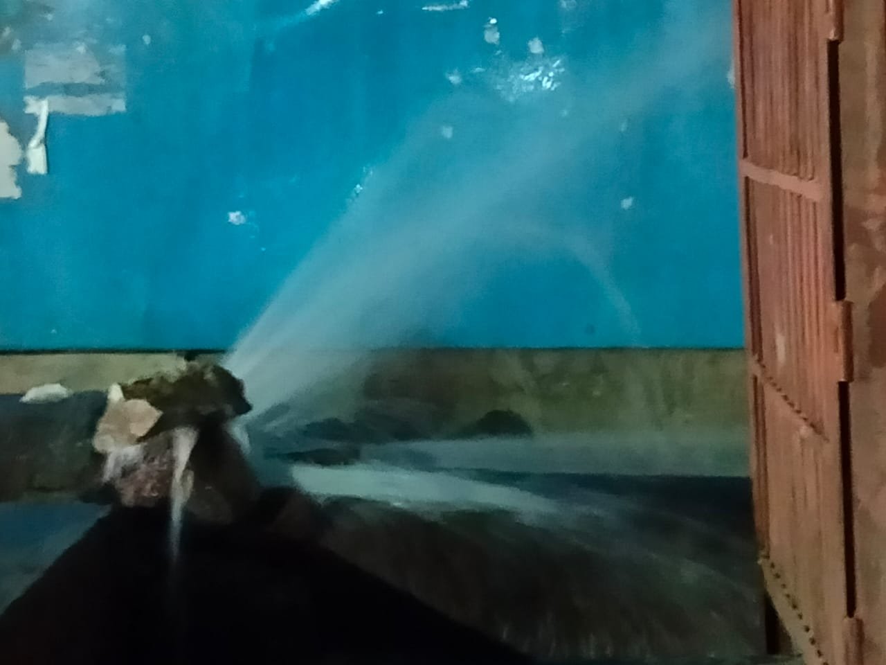 भोपाल नगर निगम की लापरवाही के चलते कई महीनों से बह रहा है स्वच्छ पानी | New India Times