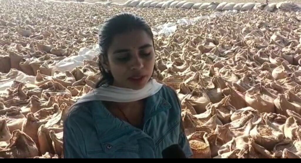 सागर के केसली मंडी परिसर में बने दिगंबर स्वसहायता समूह खरीद केंद्र में धान की जगह भूसा से भरी मिलीं 38 हजार बोरियां, मचा हड़कंप 3 सागर के केसली मंडी परिसर में बने दिगंबर स्वसहायता समूह खरीद केंद्र में धान की जगह भूसा से भरी मिलीं 38 हजार बोरियां, मचा हड़कंप | New India Times