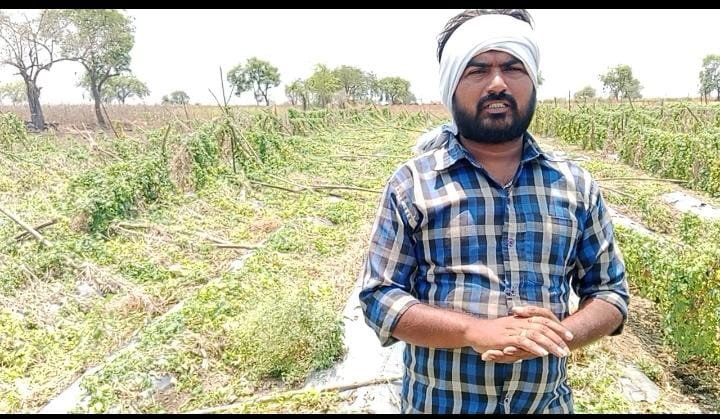 चक्रवाती तूफान से बागान बर्बाद, केले के 30 हजार से अधिक पेड़ धराशायी, कपास के बाद किसानों का सबसे बड़ा नुकसान 3 चक्रवाती तूफान से बागान बर्बाद, केले के 30 हजार से अधिक पेड़ धराशायी, कपास के बाद किसानों का सबसे बड़ा नुकसान | New India Times