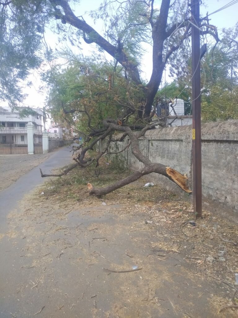 BOT प्रोजेक्ट में शामिल इमारतों के घटिया निर्माण की खुली पोल, कहां गई जांच कमेटी की रिपोर्ट??? | New India Times