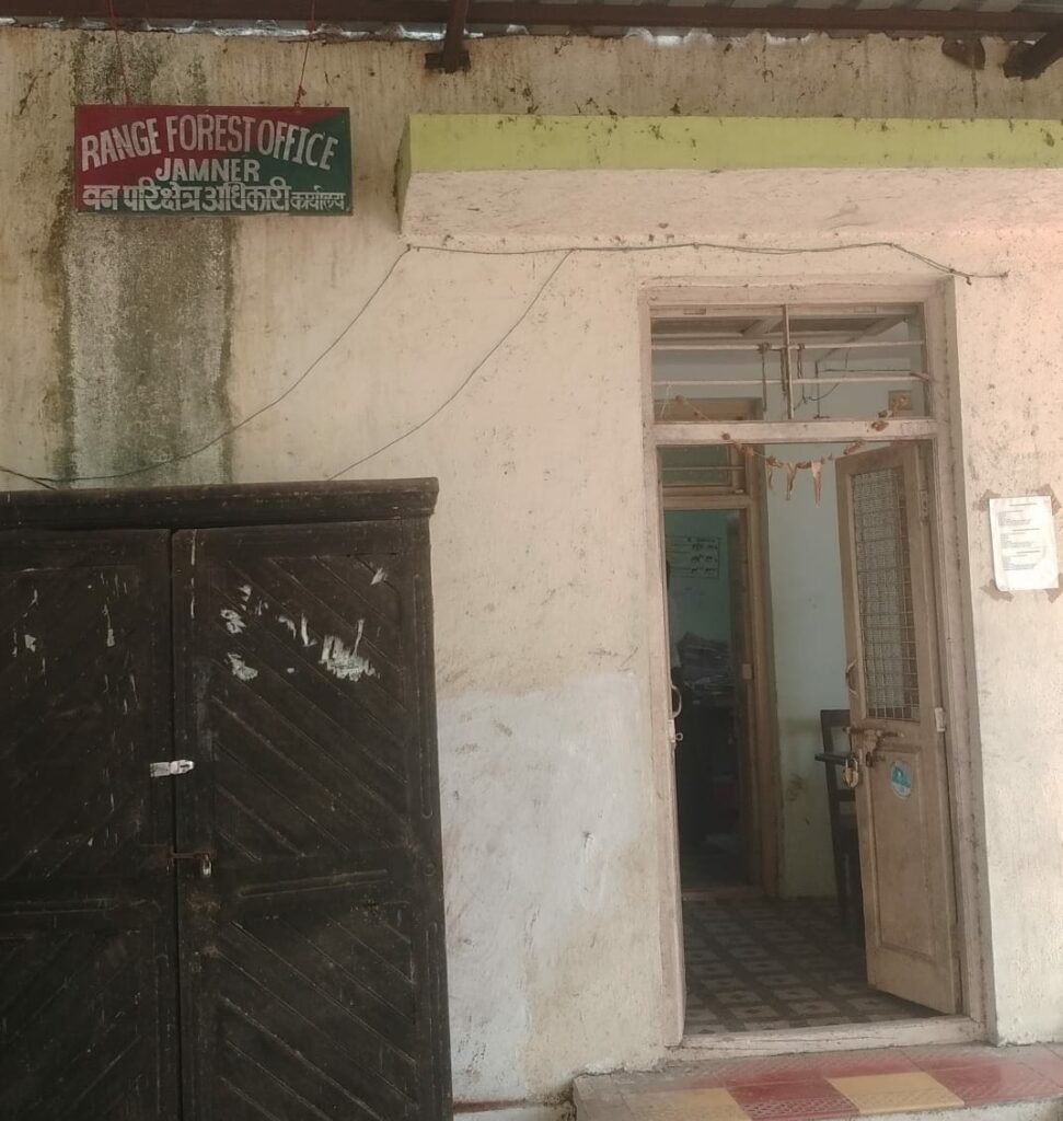 चक्रवाती तूफान में गिरे पेड़ों से ठेकेदारों ने कमाए करोड़ों रूपये, ट्रैफिक पासेस जारी करने को लेकर वन-विभाग की भूमिका पर उठ रहे हैं सवाल, सरकार की तिजोरी में जमा होने वाले लाखों के टैक्स को लगा चूना | New India Times