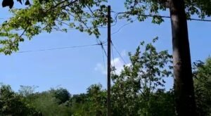 महीनों पहले की गई शिकायत के बाद भी अब तक नहीं लगा स्ट्रीट लाइट, अंधेरे में आवागमन करने को मजबूर हैं लोग 2 महीनों पहले की गई शिकायत के बाद भी अब तक नहीं लगा स्ट्रीट लाइट, अंधेरे में आवागमन करने को मजबूर हैं लोग | New India Times