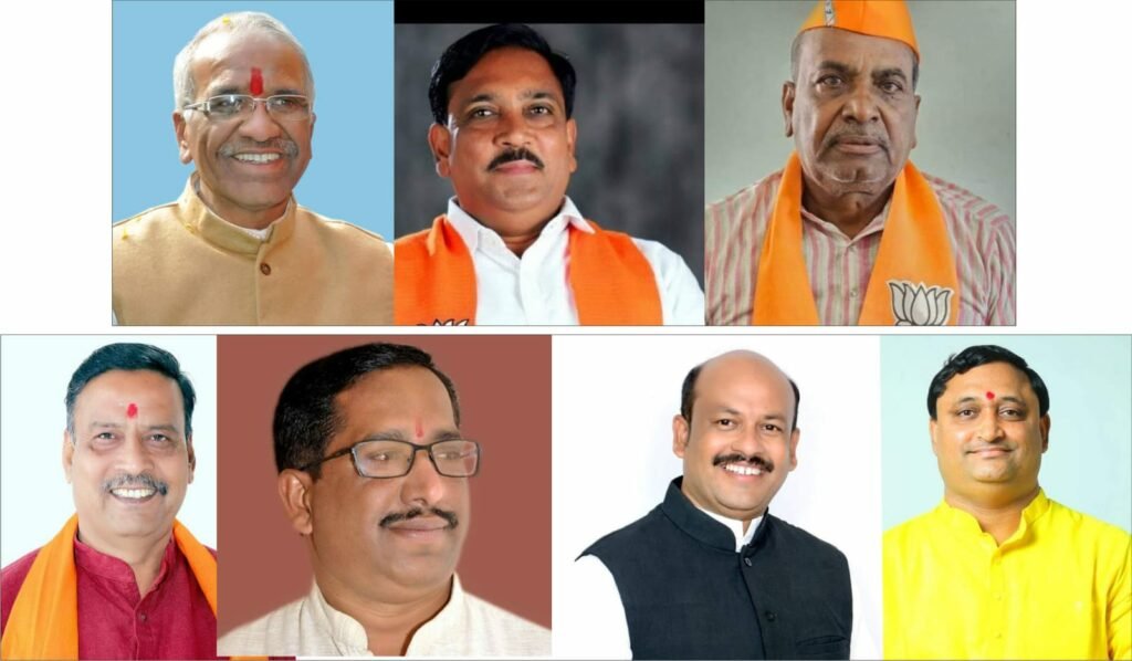 भाजपा जिला अध्यक्ष श्री मनोज सोमानी ने आगामी संगठनात्मक कार्यों को लेकर जिले की सात विधानसभाओं के प्रभारी एवं सह प्रभारी किये नियुक्त | New India Times