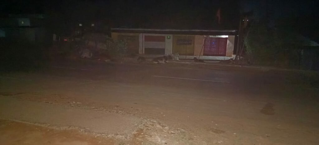 चुनावी मुद्दे बनकर रह गई हैं सुविधाएं, अंधेरे से आवागमन करने को मजबूर हैं राहगीर | New India Times