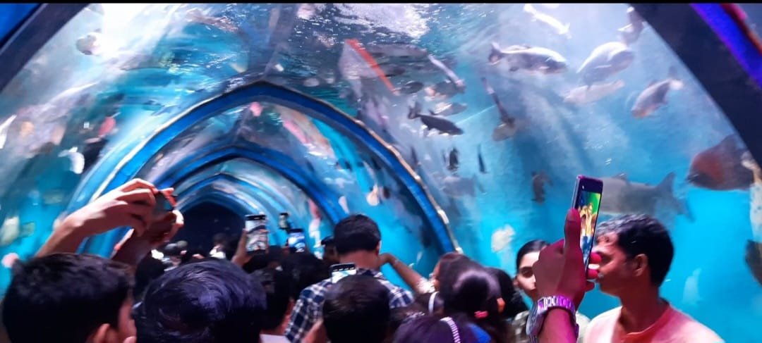 पटना के डिजनीलैंड मेला में केरला का अंडर वाटर फिश टनल एक्सपो की समुद्री छोटी से बड़ी रंगीन मछलियां समुद्र के अंदर होने का करा रही हैं अहसास | New India Times